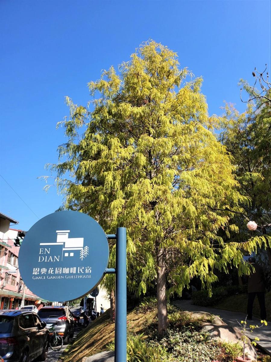 恩典花園咖啡民宿