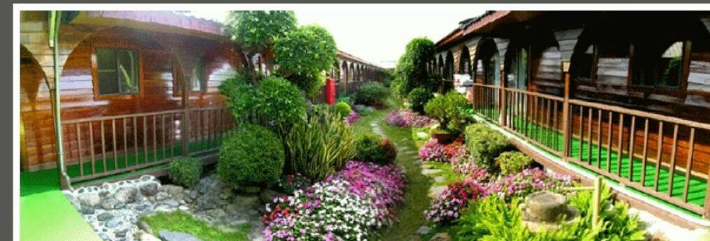 龍星花園度假木屋