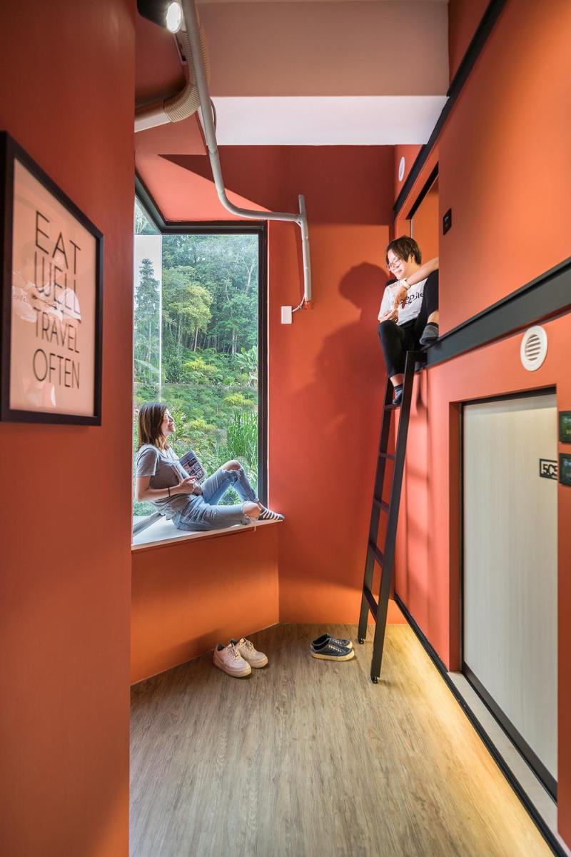 Owl Hostel 貓頭鷹旅店