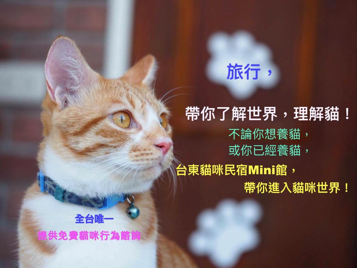 貓咪民宿Mini館-中午即可入房No681