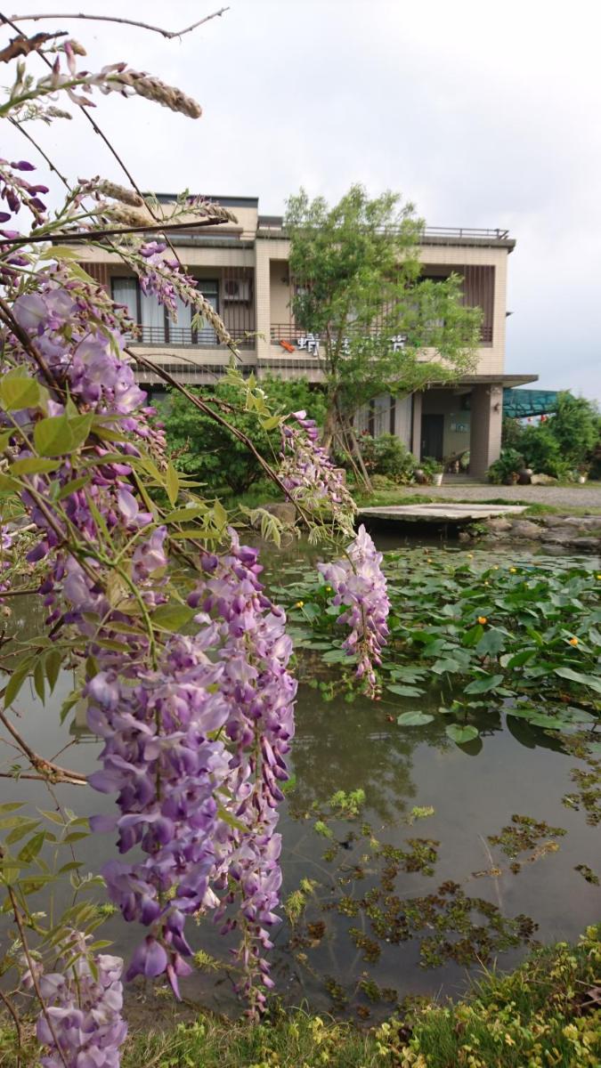 蜻蜓雅茿庭園民宿
